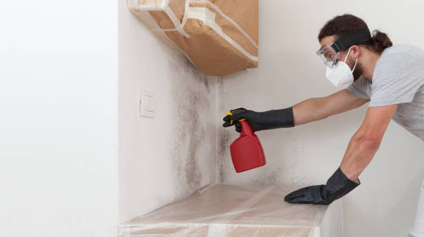 Professional Basement Mold Remediation technician working in Catlett, VA