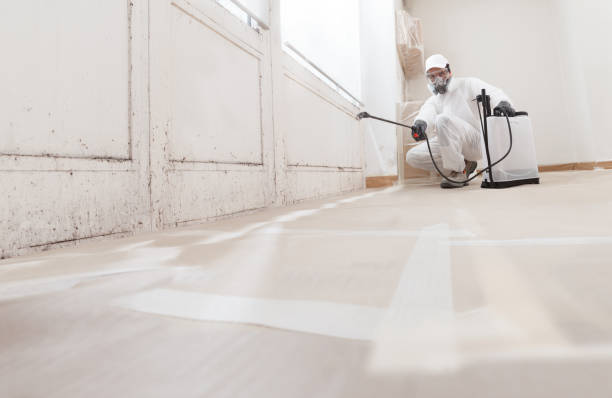 24/7 Emergency Basement Mold Remediation experts in Catlett, VA